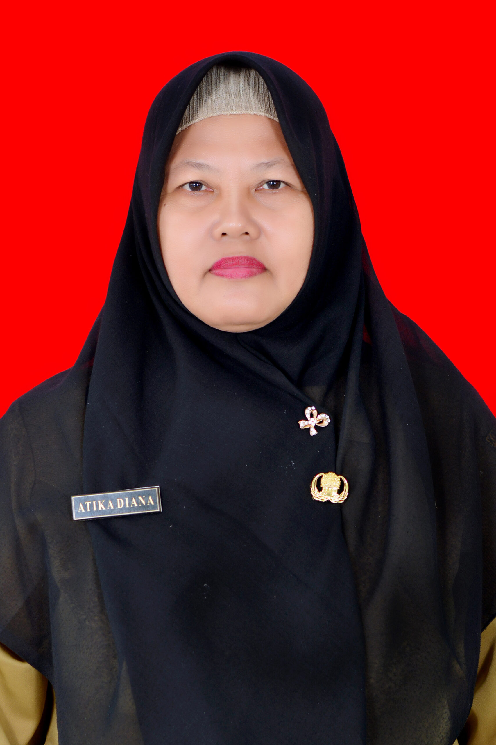 IIP_7453